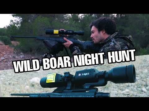 Wild Boar Night Hunt With X-SIght 5 LRF!