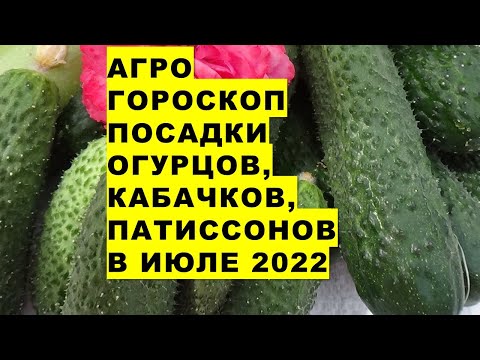 , title : 'Агрогороскоп посадки огурцов, кабачков, патиссонов в июле 2022 года'