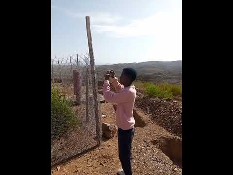 Tezarebu by Tsegu Wellemariam