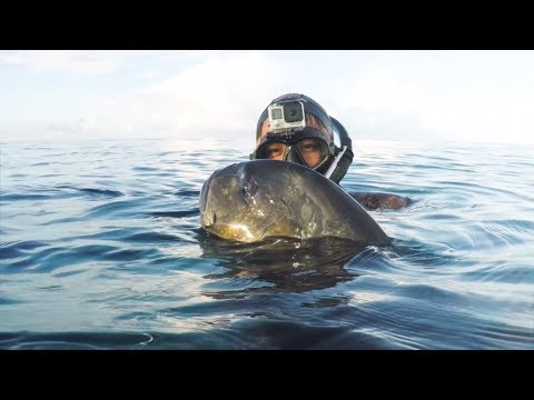 4K Indonesia spearfishing travel - Life as a fisherman