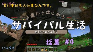 【4歳から始めるサバイバル生活★Part4】マイクラ実況