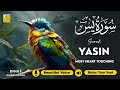 Surah Yasin Yaseen سورة يس Relaxing Heart Touching Voice Quran For Sleep Alaa Aqel