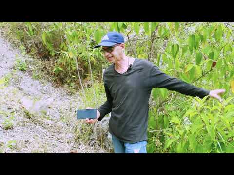 Sembrar agua, Sendero a Guadalupe