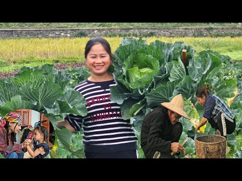 Farewell to 2025’s Hardships — Praying for a Happier 2026 for Our Family / Ly Phuc Ha