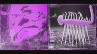 cows - weird kitchen