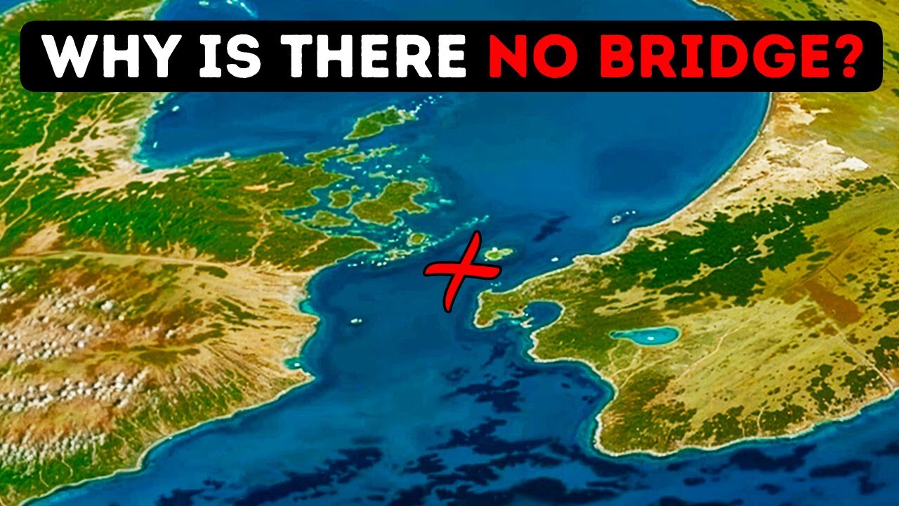A Bridge Between New Zealand’s Islands Would Be a Disaster, Here's Why