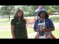 Kids Safety Playground Safety