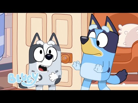 ????LIVE: Full Episodes from Series 1 | Bluey