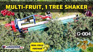 Novi Jagoda G-004 / G-004 Pro Automatic Tree Shaker kombajn za bobice | Slika 10 - Agroline