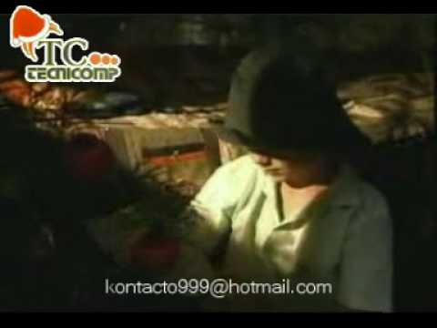 Mamá donde estan los Juguetes. By: YonY