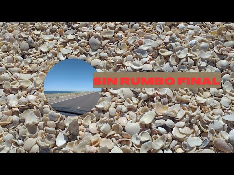 PLAYA CONCHILLAS- SAN ANTONIO ESTE- RIO NEGRO