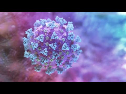 Increased risk of infection? What do the coronavirus mutations mean?