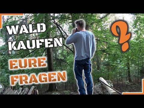 Wald kaufen, laufende Kosten, Pflichten, Versicherung - Eure FRAGEN