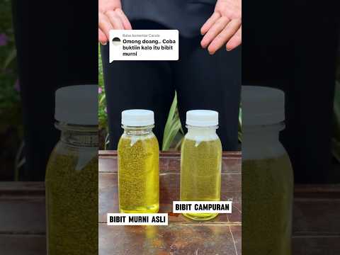 Cara membedakan Bibit Parfum Asli dan Yang sudah dicampur #parfumcowok #rekomendasiparfum #perfume