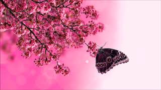 [Chill] Sleepdealer- Sugar