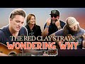 The Red Clay Strays - Wondering Why | Bertcast Unplugged