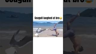 Download lagu Seagull laughs at man who falls mp3