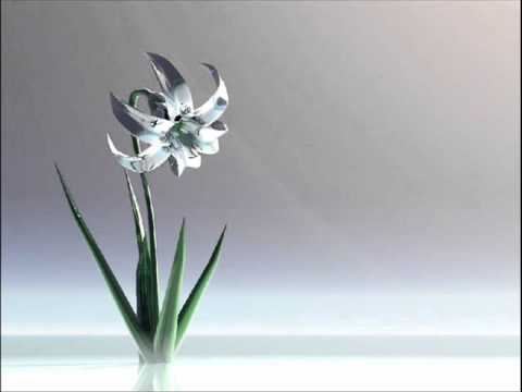 agim baftjari  ne kujtime rrisha