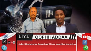 Download lagu OMN: Labsii Mootummaa Ameerikaa fi hiree lammiilee Itoophiyaa mp3 Download lagu OMN: Labsii Mootummaa Ameerikaa fi hiree lammiilee Itoophiyaa mp3