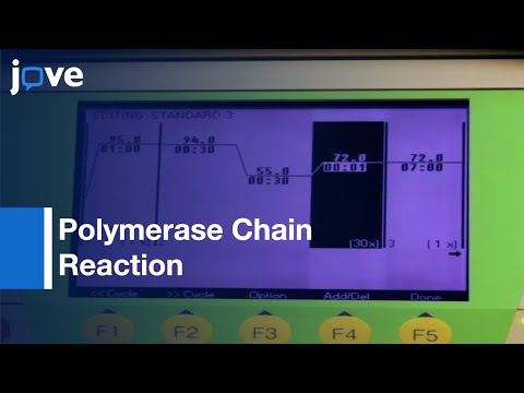 PCR Basic Protocol Plus Troubleshooting & Optimization Strategies l Protocol Preview