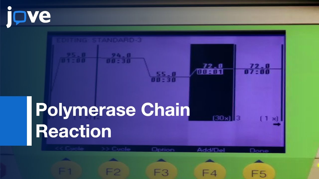 PCR Basic Protocol Plus Troubleshooting & Optimization Strategies l Protocol Preview