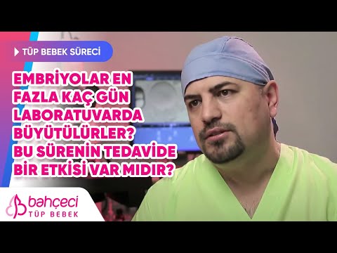 Embriyolar en fazla kaç gün laboratuvarda büyütülürler?