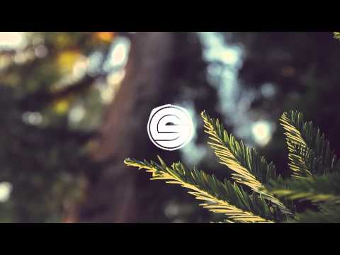 AstroSteps X Transphere - Evergreen