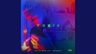 Toxic Music Video