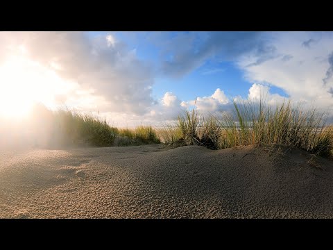 Entspannung an der Nordsee mit Meeresrauschen auf der Düne in 5K