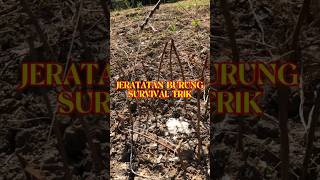 Download lagu TRIK JEBAKAN BURUNG DI ALAM #survival #asmr mp3 Download lagu TRIK JEBAKAN BURUNG DI ALAM #survival #asmr mp3