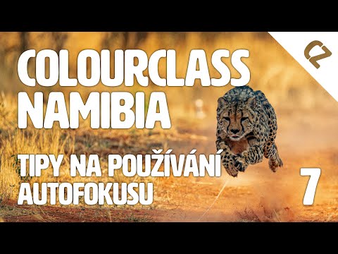 Colourclass Namibia: Část 7. – Tipy na používání autofokusu u rychlých zvířat