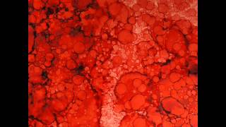 Postelja od vina Severina