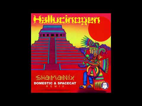 Hallucinogen - Shamanix (Domestic & Space Cat Remix)