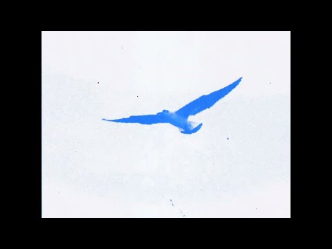 lucidbeatz - something to you