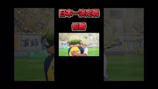 弱小が日本一になる【イナズマイレブン】#ゲーム実況