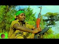 Isaa Kam Shaneeyisita Kam Shifteryisita Jaal Adamsa Fi Jaal Nimoona Music