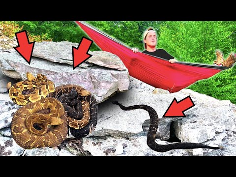 I Spent 24 Hours at a RATTLESNAKE DEN!
