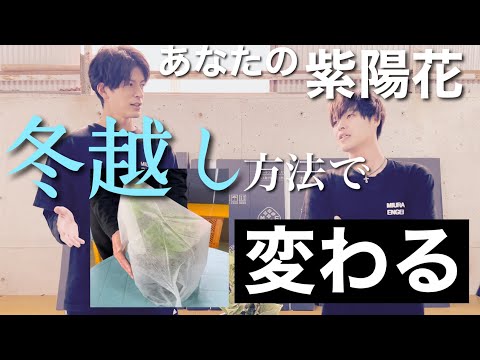 冬にキョウチクトウを鉢に入れる方法は？冬に備えて寒さや霜から守るための3つのヒント?  庭園