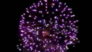 preview picture of video '4th of July2010.avi'