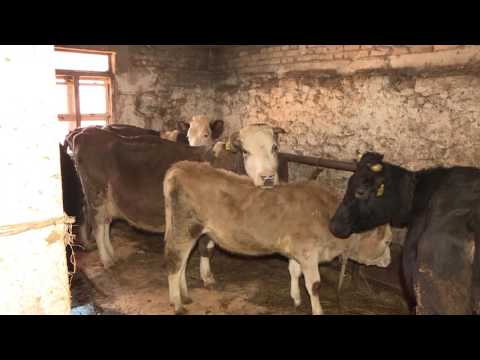 Darovi prirode TVSA  ... Subota 24.12. u 17 sati i 45 minuta