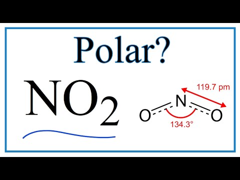 No2 Polarity