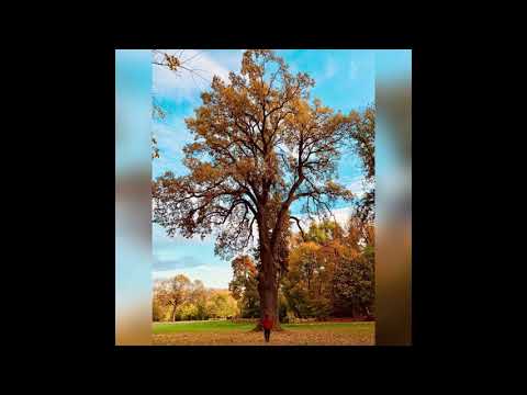 Barac - mystical, for those who don't understand magical