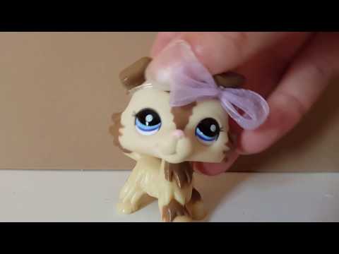 THE MEANEST THINGS I HAVE EVER DONE!