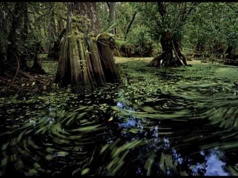 Roque Ferreira - Garaximbola