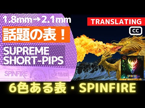 ShortPips, das jetzt in Japan sehr beliebt ist, ist SPINFIRE | der-materialspecialist [Tischtennis]