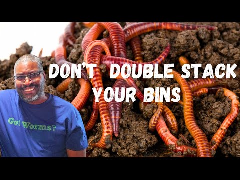Why I STOPPED Using 2 Totes For Worm Farming For Beginners