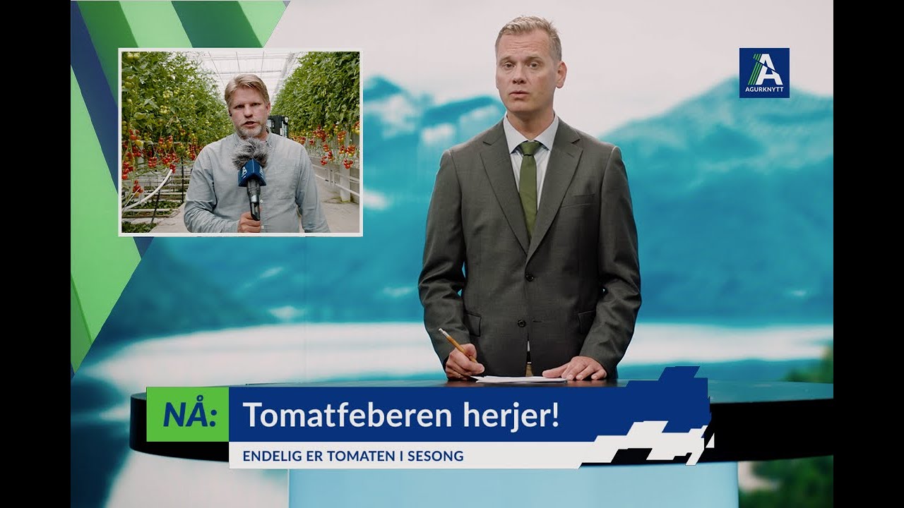 Tomatfeber!