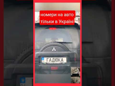 😂 Такі номери на авто можна побачити тільки в Україні