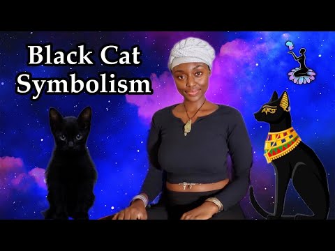 ☥ Black Cat Spirit Animal Totem 𓁹✧𓁹