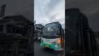 Download lagu Bus rekomended Bandung - Jepara | 24 Seat 🤩 #shorts mp3